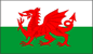 Welsh Flag (red dragon - Y Ddraig Goch)